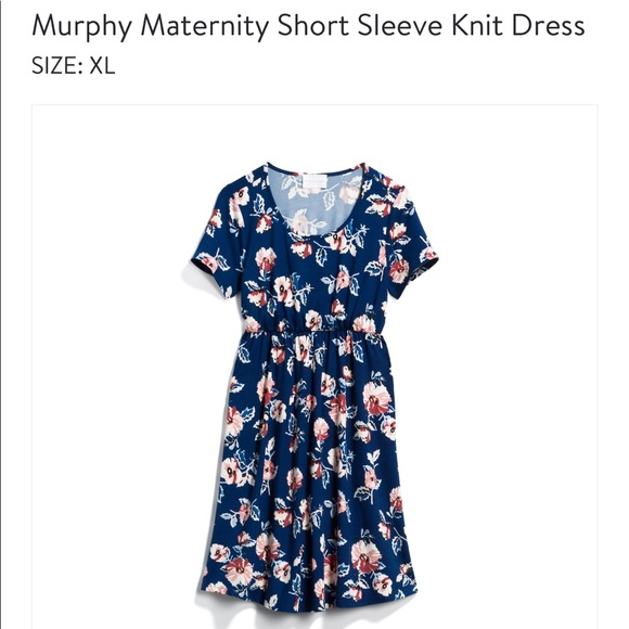 French Grey Dresses & Skirts - French Grey maternity dress stitch fix XL